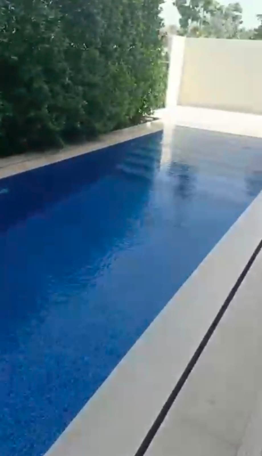 Deep blue lap pool with stone coping running alongside a mature hedge